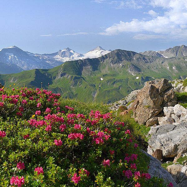 Hiking service Hiking service