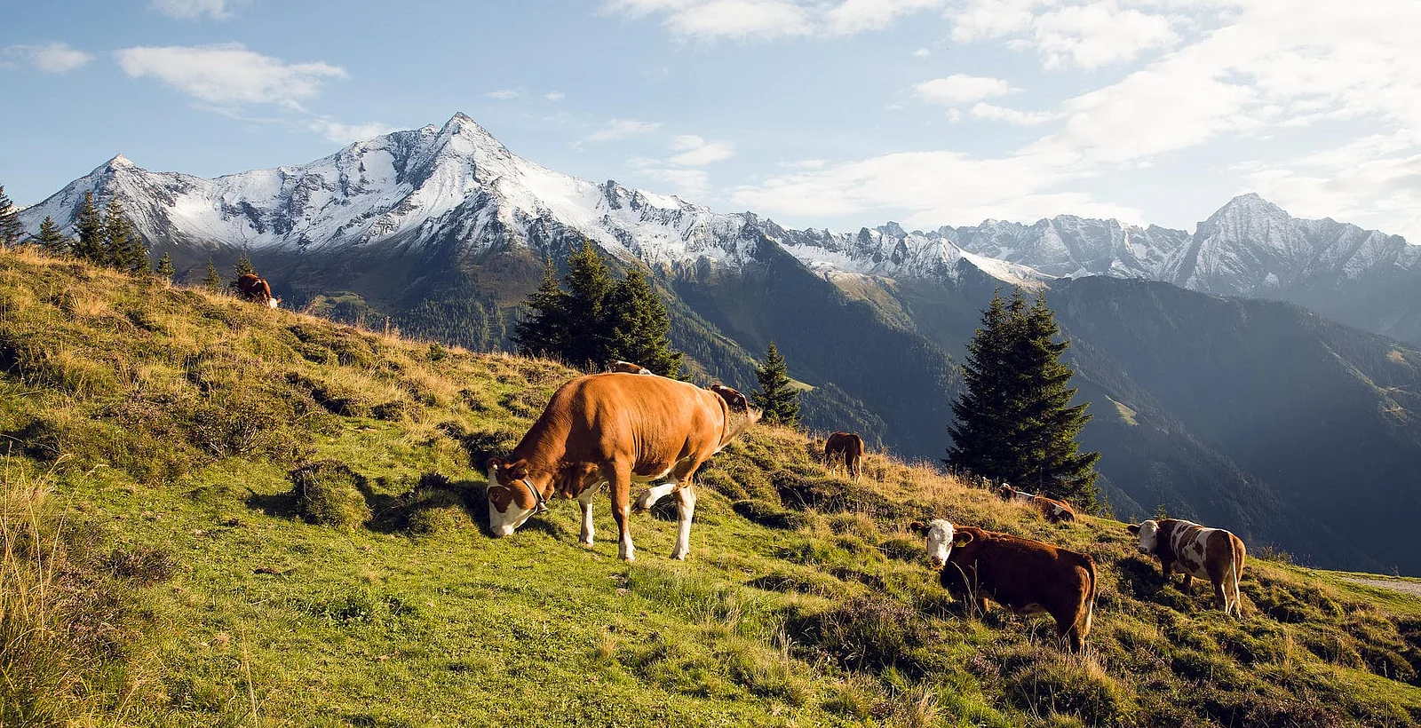 Das
Zillertal