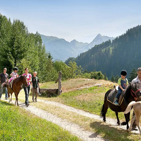 Horse adventures for children