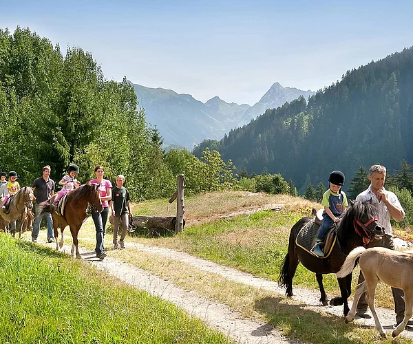 Horse adventures for children