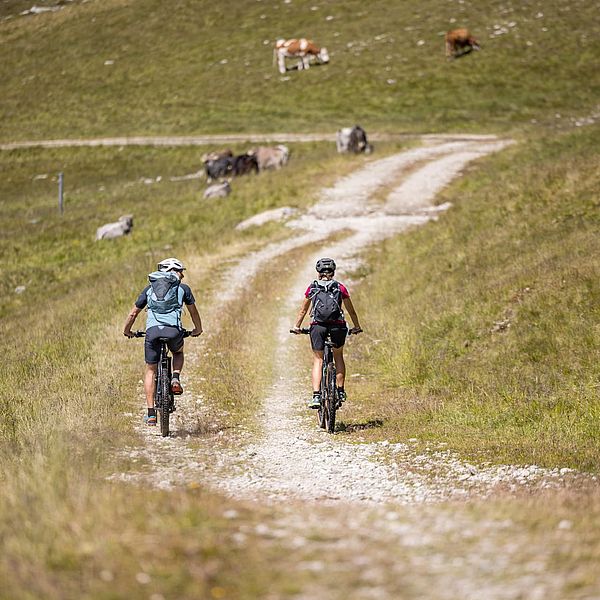 Regeln für Radfahrer