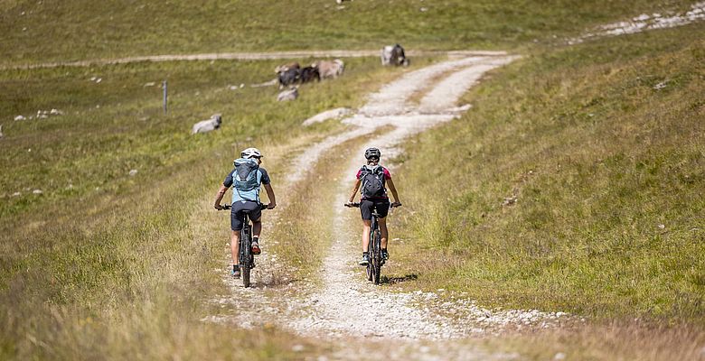 Regeln für Radfahrer