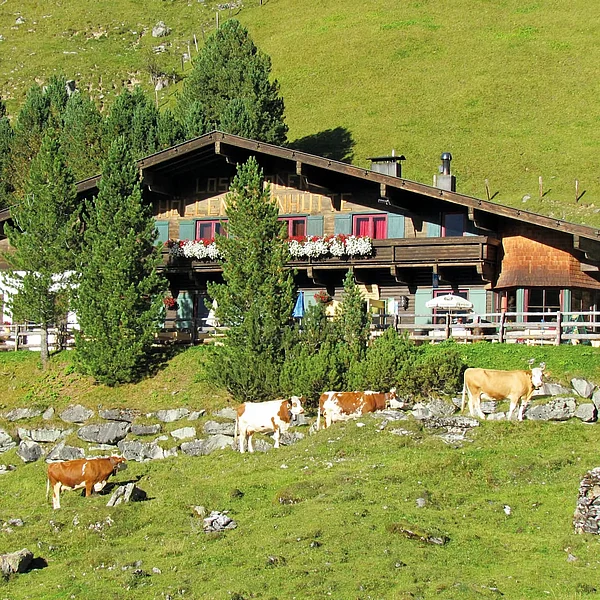 Museum at 1,740 metres altitude