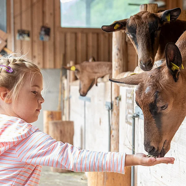 Experience Tyrolean tradition up close