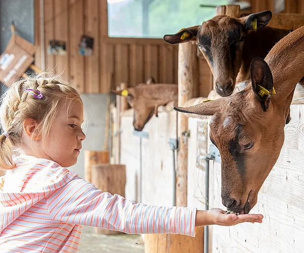 Experience Tyrolean tradition up close