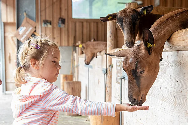 Experience Tyrolean tradition up close
